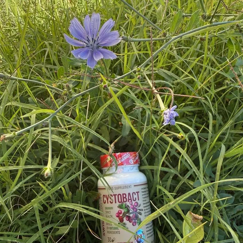 Cystobact — Bild 3